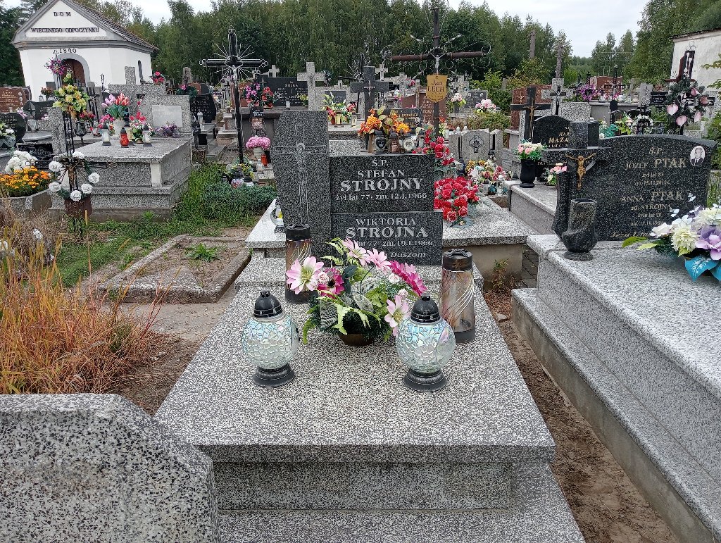 Grób Stefan Strojny
