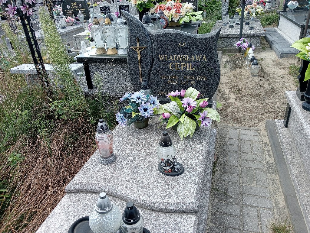 Grób Władysław Cepil