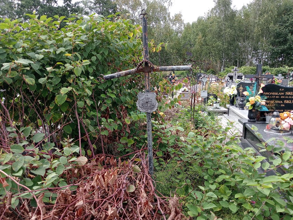 Grób Antoni Ziemniak